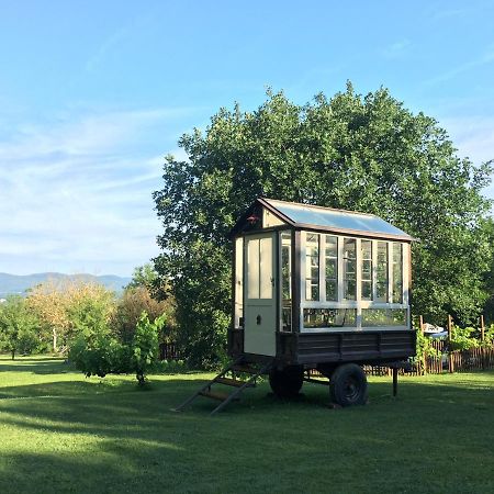 Agriturismo Poggio Salvi Совичилле Экстерьер фото