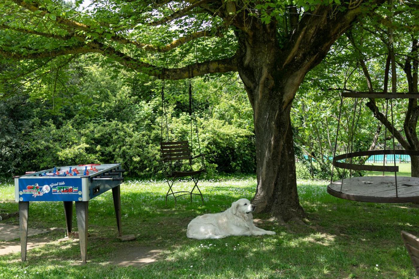 Agriturismo Poggio Salvi Совичилле Экстерьер фото