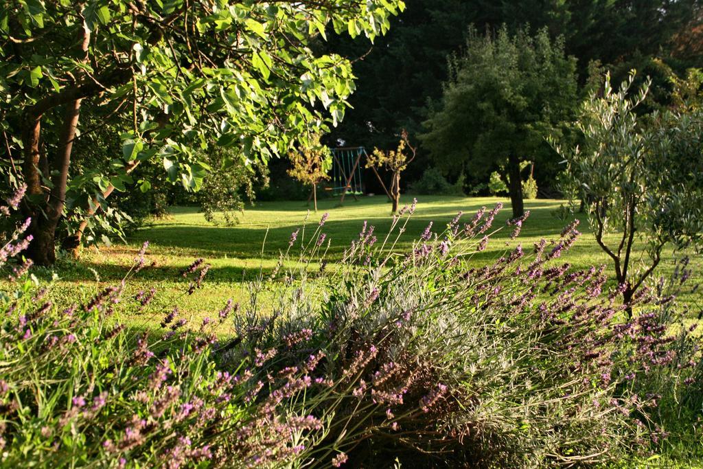 Agriturismo Poggio Salvi Совичилле Экстерьер фото